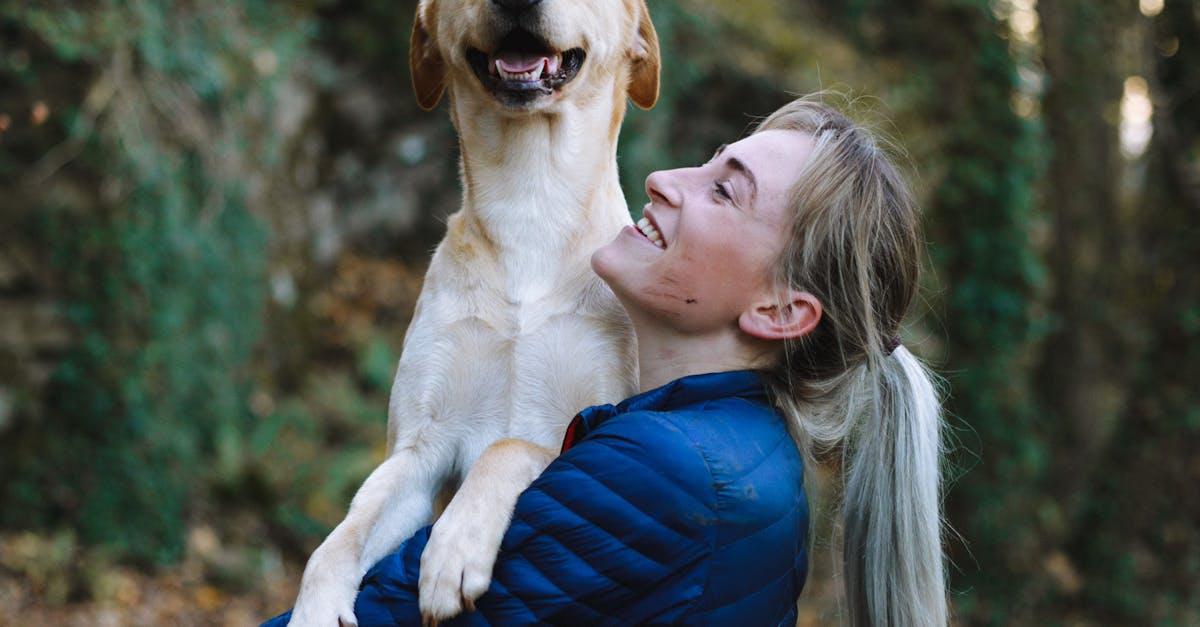 Erfaren hundetræning i Nordjylland: Skab harmoni med din firbenede ven