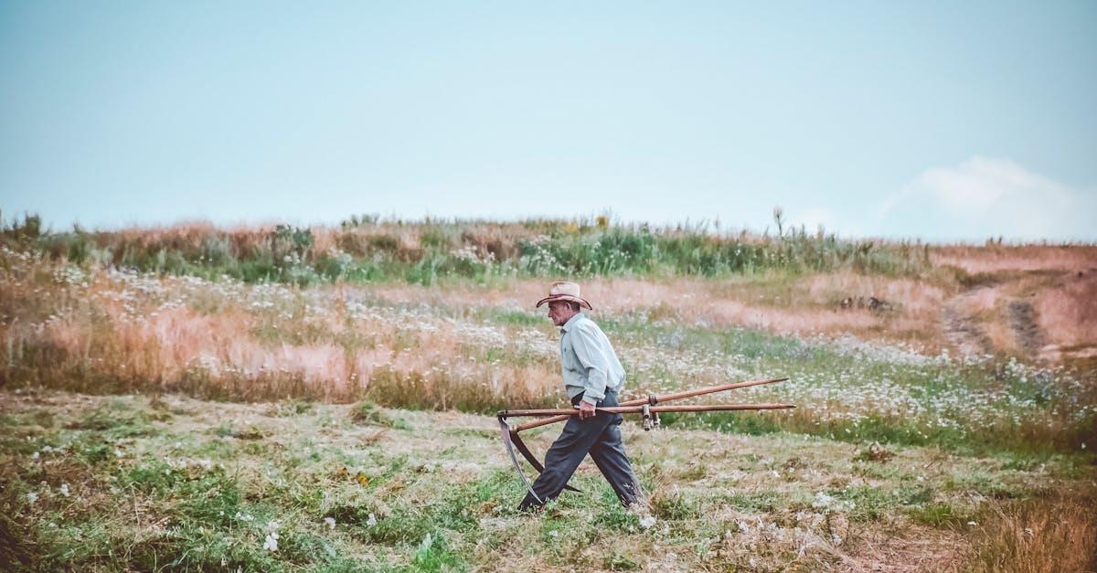 Oplevelser i Midtjylland: Når landmanden skal have en pause fra ploven